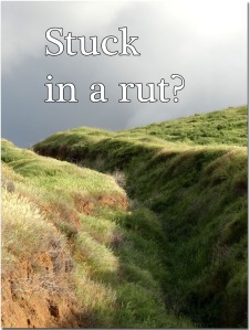 Stuck in a rut?